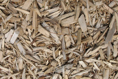 biomass boilers Tigerton