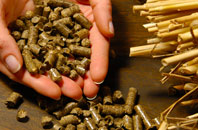 free Tigerton biomass boiler quotes